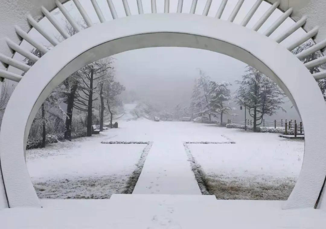 雪的魔法，自然奇迹与情感共鸣的交响乐章