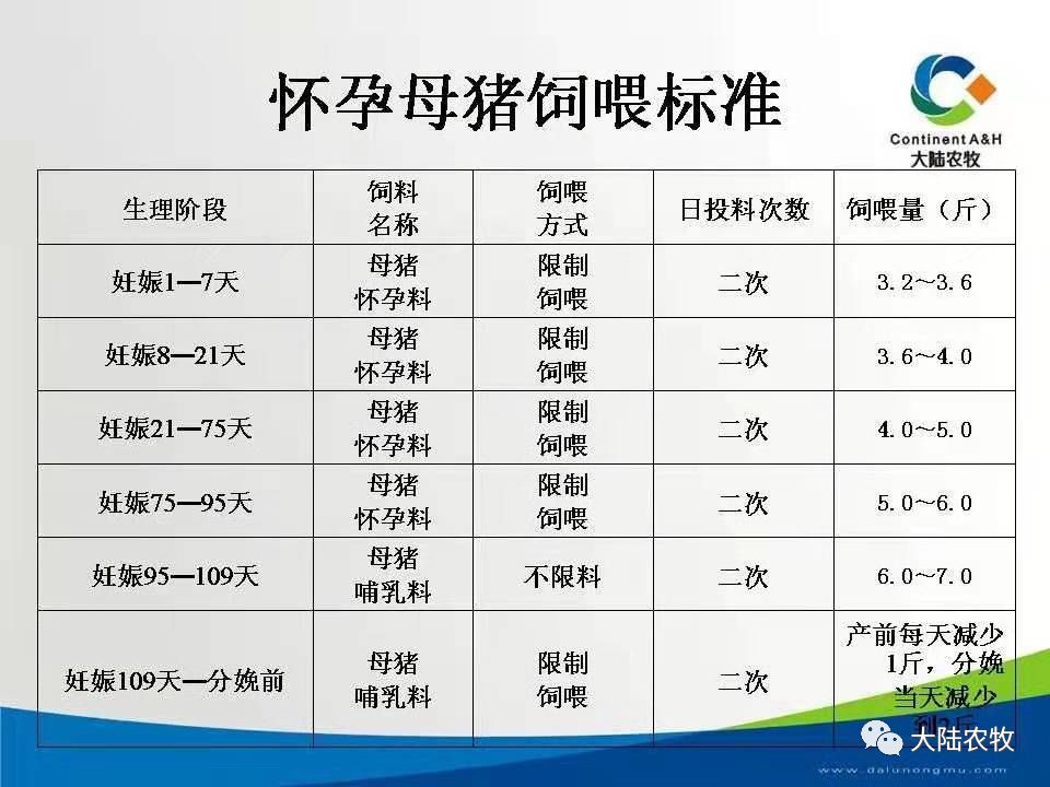 最新母猪饲料配方研究及其应用实践