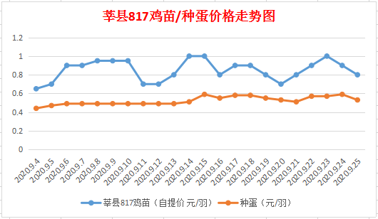 今日鸡苗价格更新，深度解析817鸡苗市场走势