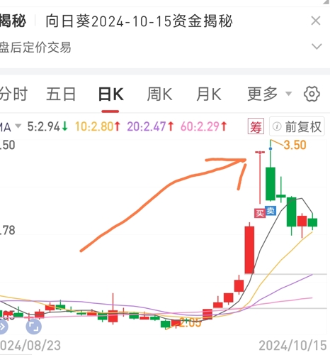 向日葵股票最新消息深度解读与分析