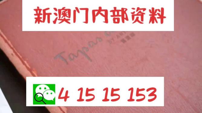 新澳内部资料精准一码免费,时代资料解释落实_定制版8.213