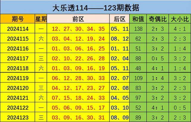 王中王100%期期准澳彩,确保解释问题_升级版9.124