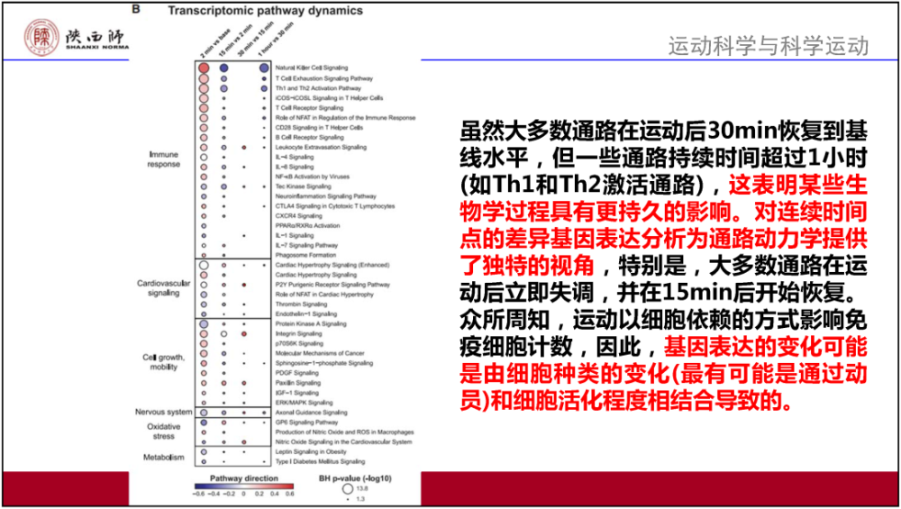 2024澳门精准正板资料,最新答案解释落实_3DM7.239