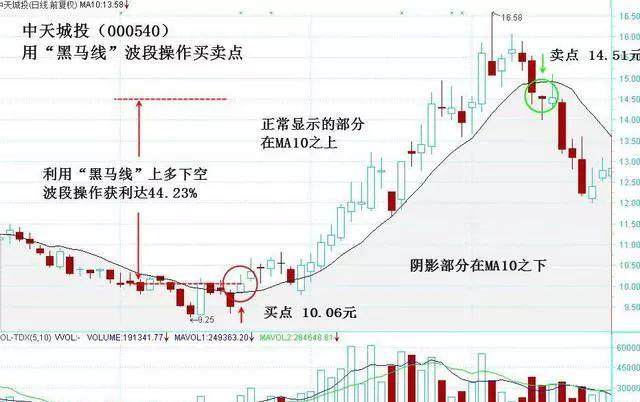 4949澳门特马今晚开奖53期,定制化执行方案分析_豪华版180.300