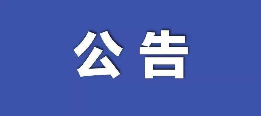 2024新澳门正版免费资木车,诠释解析落实_安卓版74.391