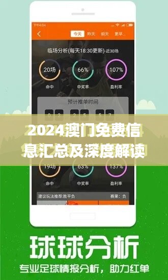 2024年澳门精准免费大全,未来解答解析说明_尊享版33.736