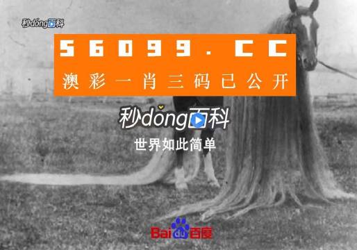 澳门一肖一码100准免费资料,深度解答解释定义_挑战版91.521