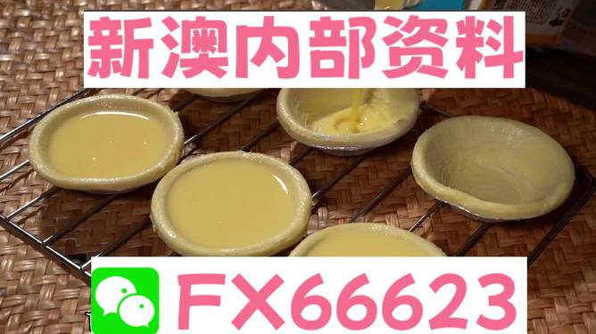 新澳精准资料免费提供濠江论坛,动态词汇解析_SE版95.518