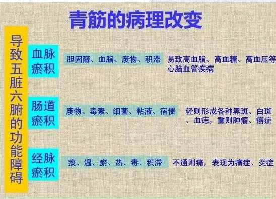 白小姐三肖三期必出一期开奖哩哩,专家评估说明_QHD版33.713