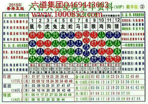 2024十二生肖49码表,深入解答解释定义_Superior61.907