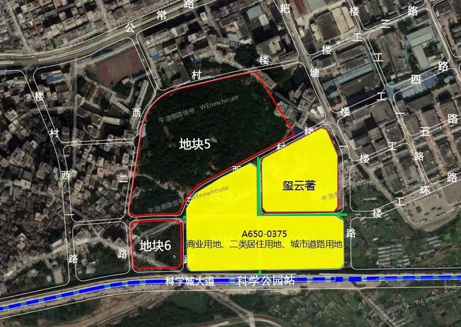 大砂坪社区居委会天气预报更新通知