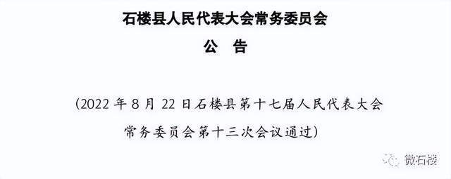 石板村人事任命新动态，未来展望与领导团队更迭