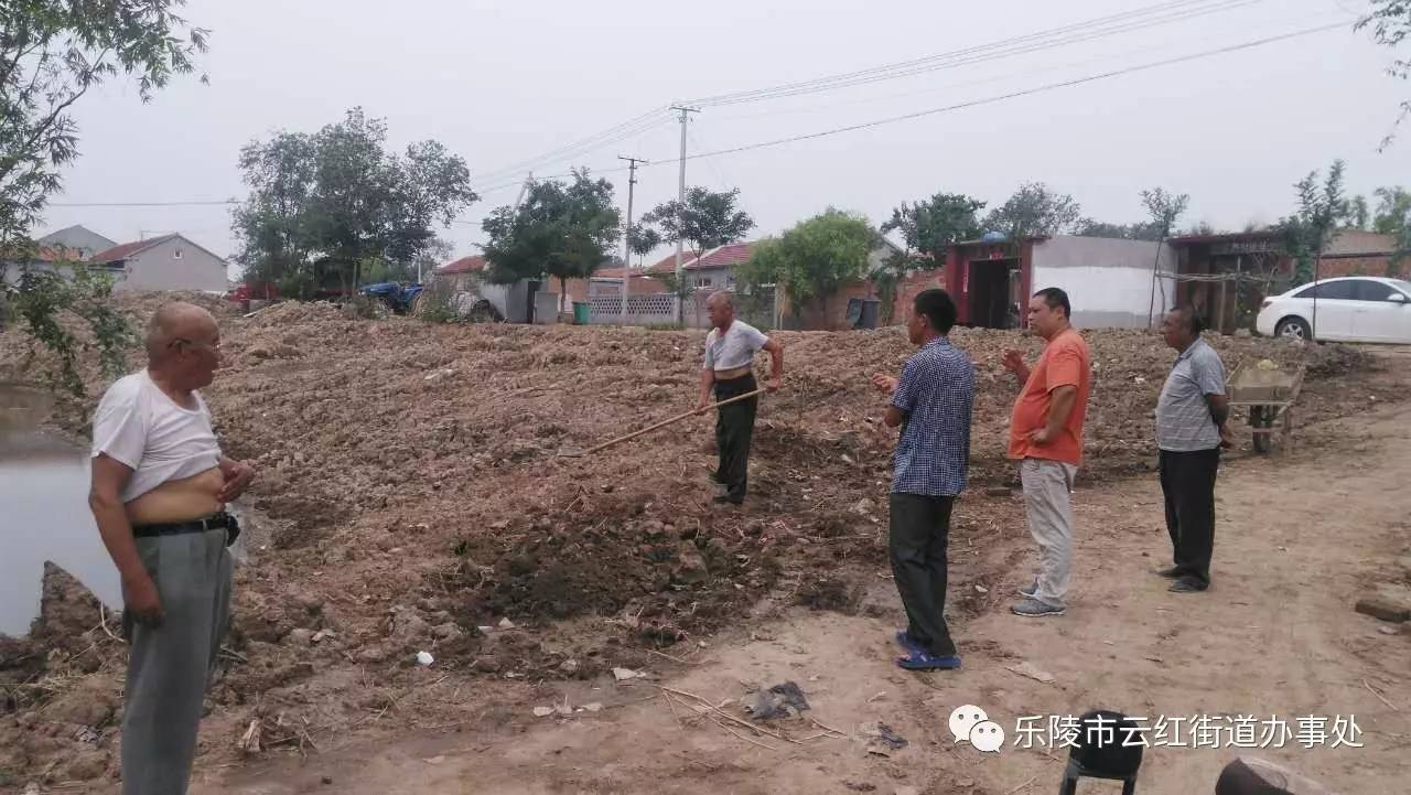 伯乐集镇未来繁荣新蓝图，最新发展规划揭秘