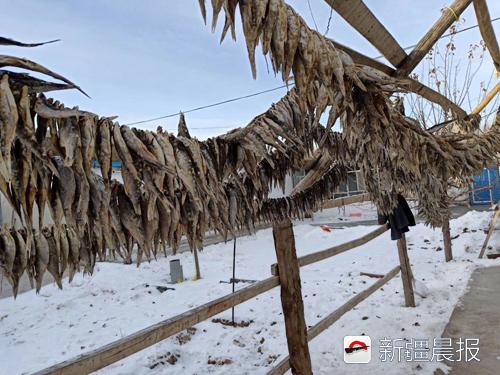 哈巴河县市场监督管理局领导团队最新概述