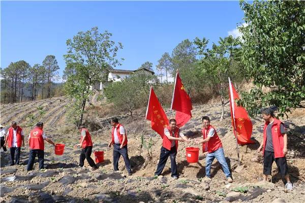 丽江市地方税务局新项目，推动税务现代化与地方经济协同进步