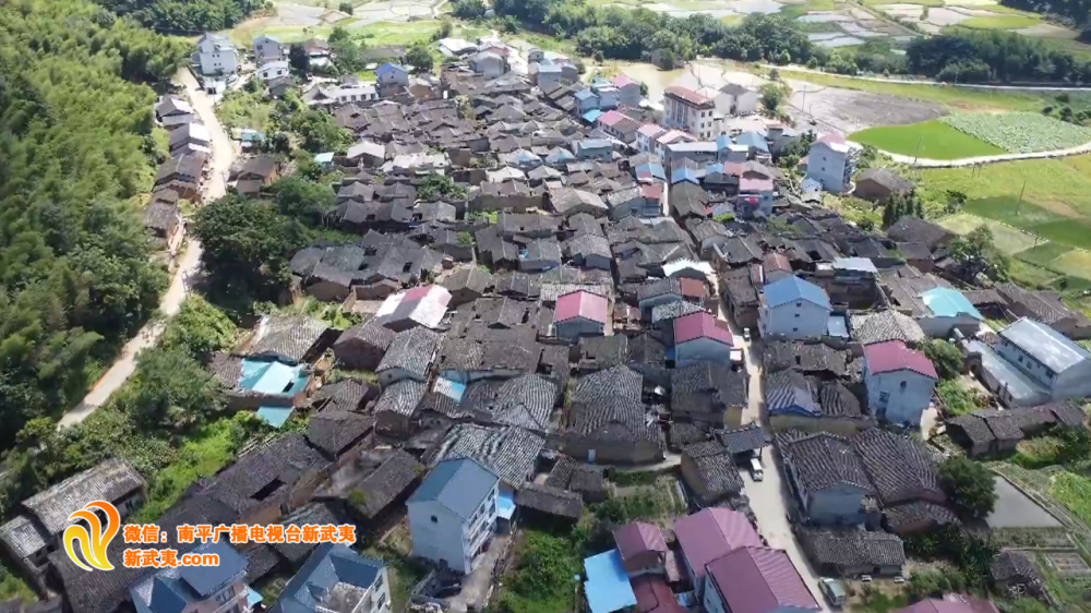 朱家山村委会新项目，地方发展新篇章启动