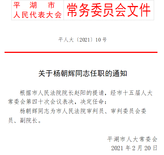 三山村委会人事任命重塑乡村治理格局，激发基层发展新动能