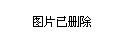 2024年12月15日 第8页