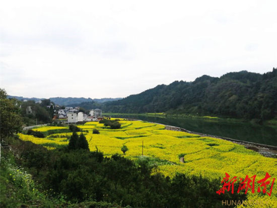 潭溪镇最新项目，引领地区发展的璀璨明珠