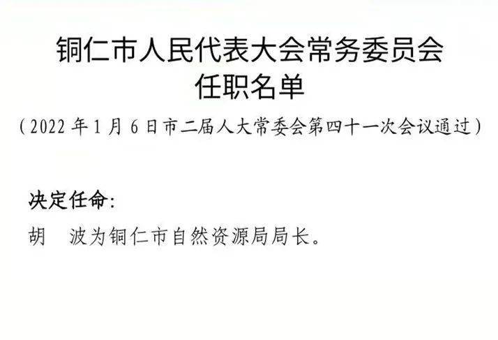 仁和区体育局人事任命揭晓，塑造体育发展新篇章