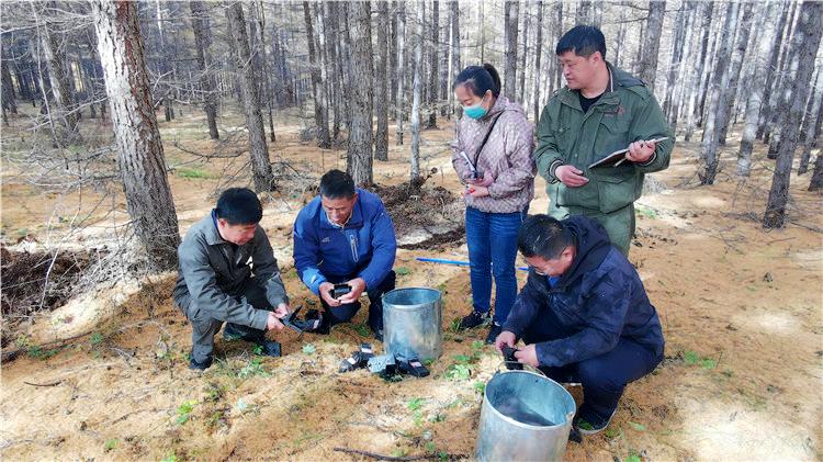 五个林场最新天气预报及影响分析