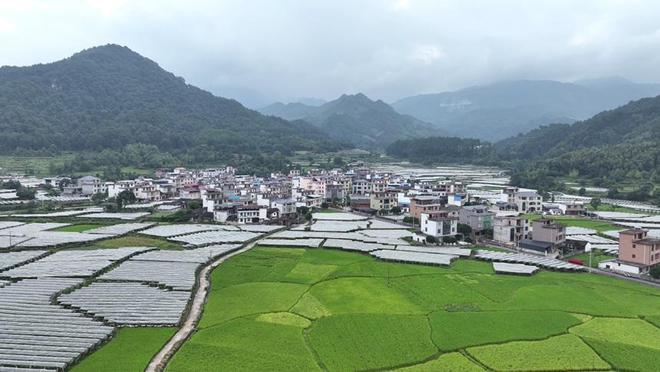 何家畔乡新项目，乡村发展的璀璨明珠