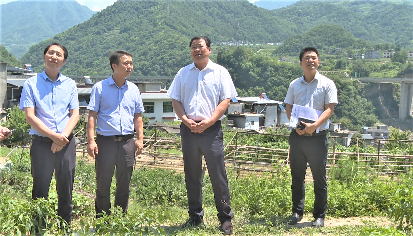 龙驹镇新任领导团队引领未来发展之路