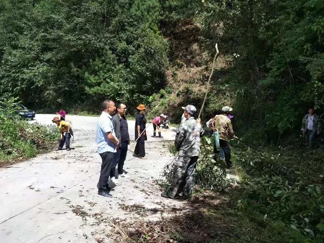 猴桥镇新项目，地区发展璀璨明珠的引领力量