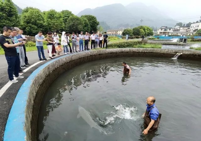 鲟鱼镇最新发展揭秘，小镇新面貌与蓬勃生机