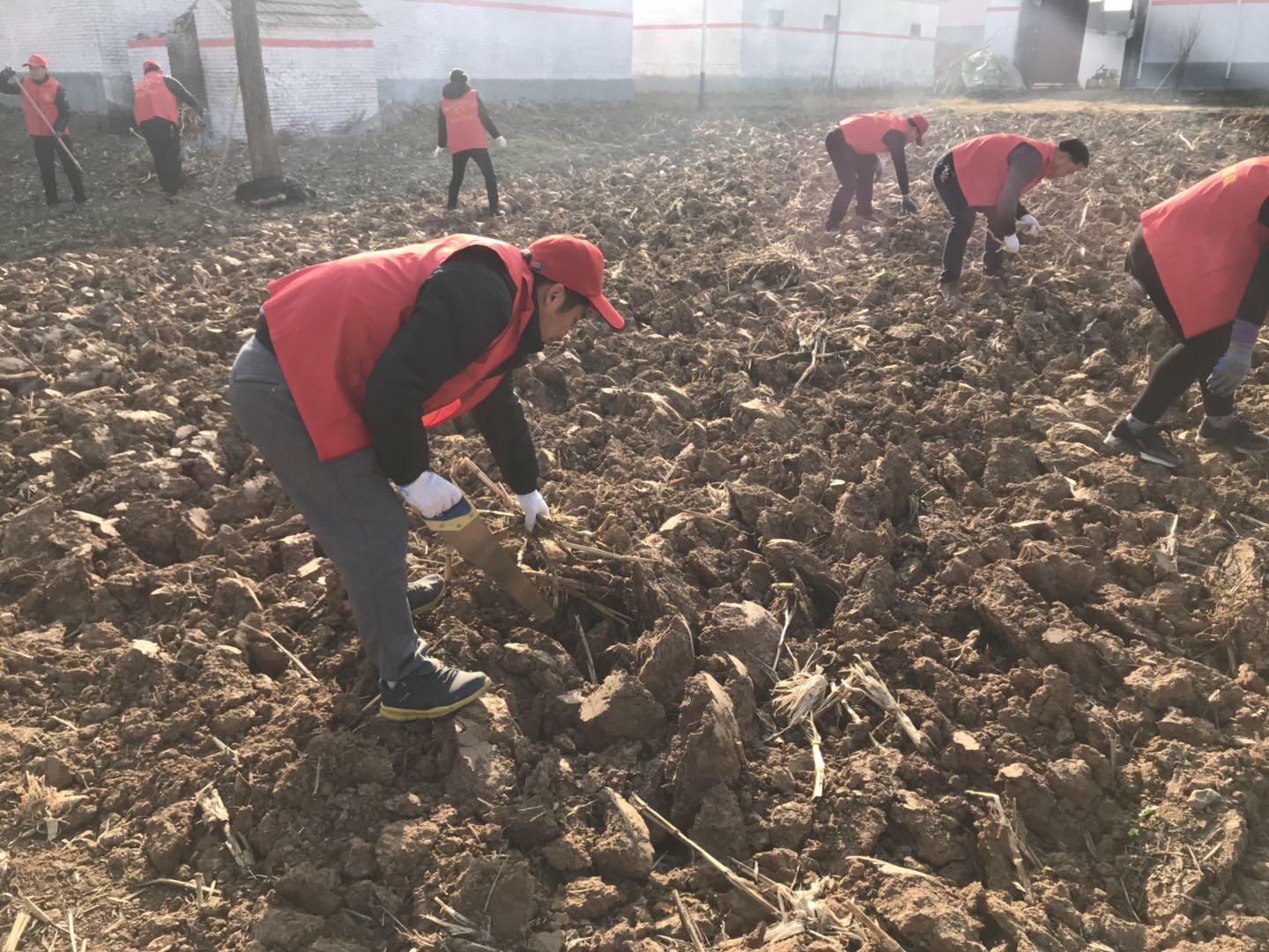 驻马店市扶贫开发领导小组办公室新项目助力地方经济与社会全面发展