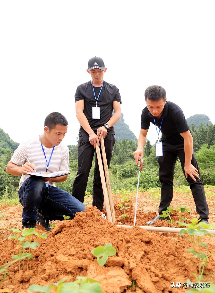 融安县级公路维护监理事业单位发展规划概览