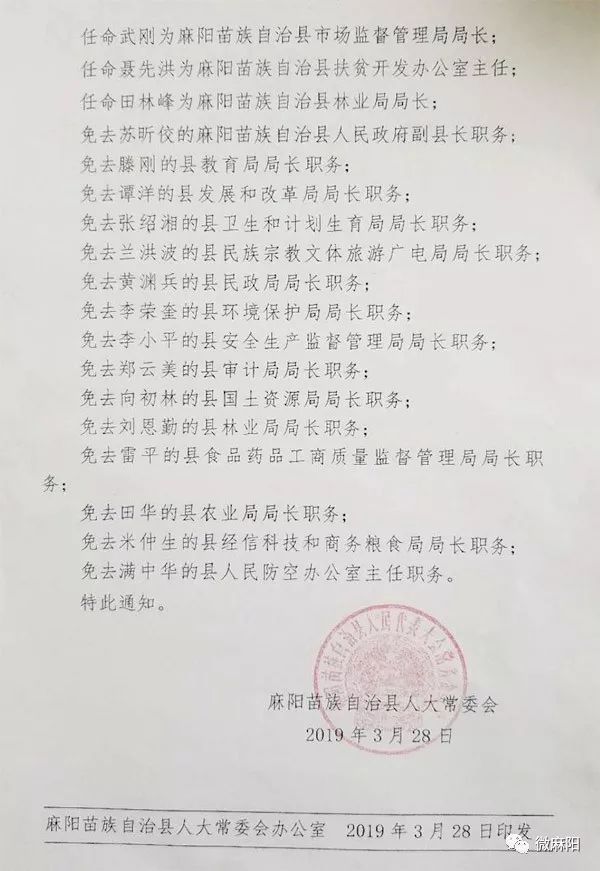 麻阳苗族自治县图书馆人事任命重塑未来篇章