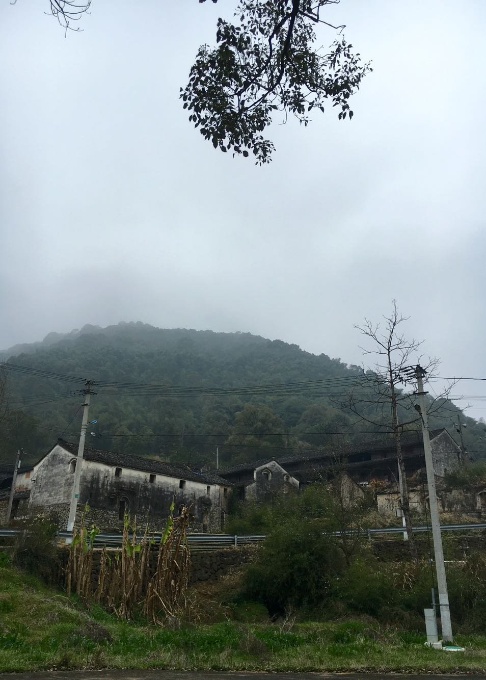 大罗镇天气预报更新通知