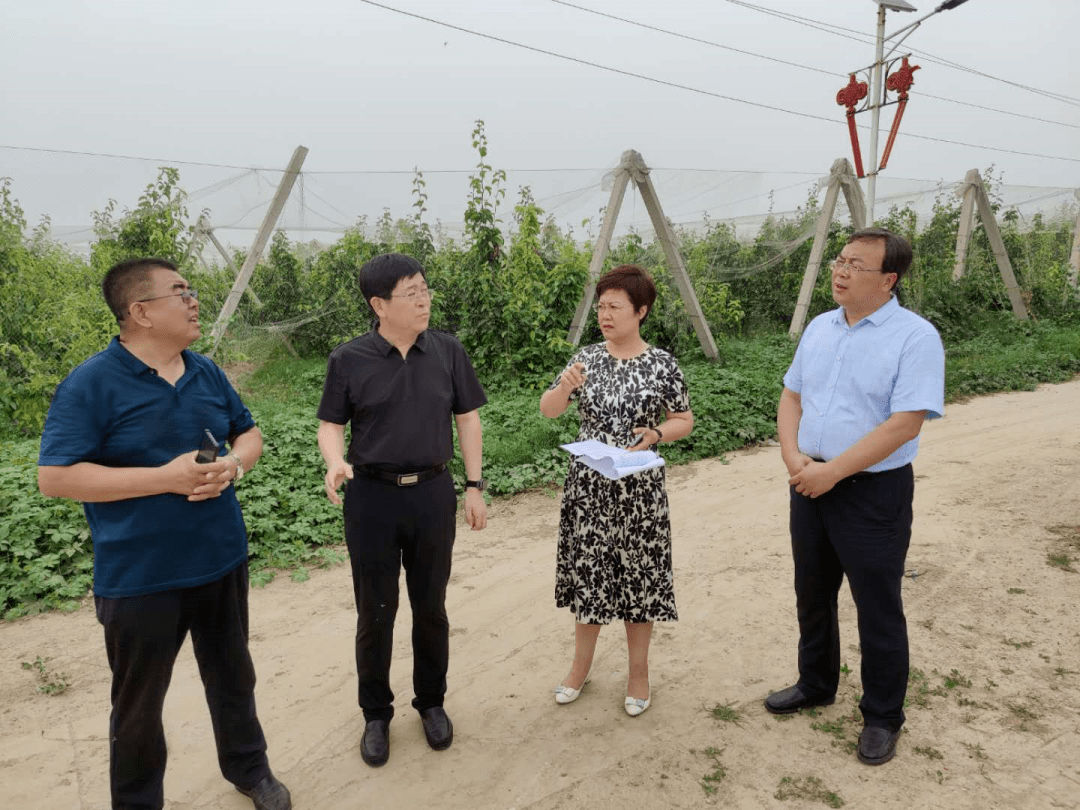 香赵庄镇新项目，地方经济新动力引领者