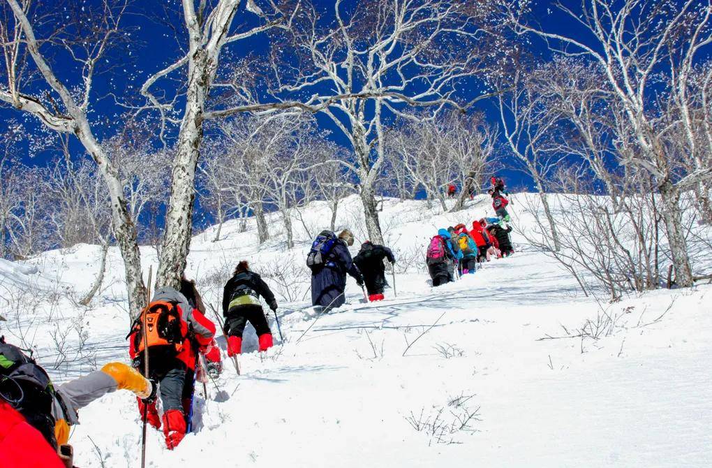 塘巴雪村最新项目重塑雪域高原传奇